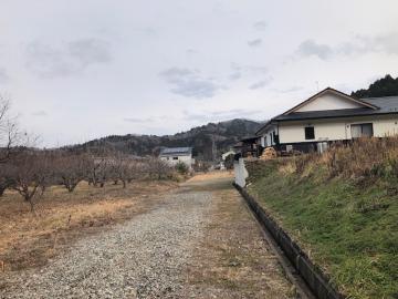 前面道路含む現地写真(2021年1月)