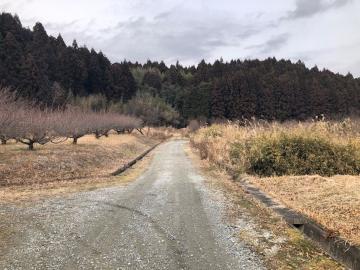 前面道路含む現地写真(2021年1月)