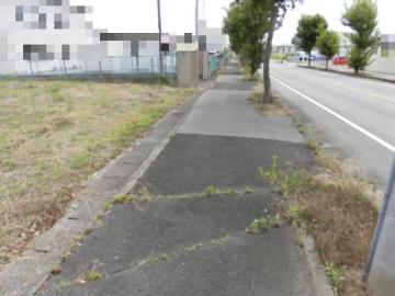 前面道路含む現地写真(2024年6月)