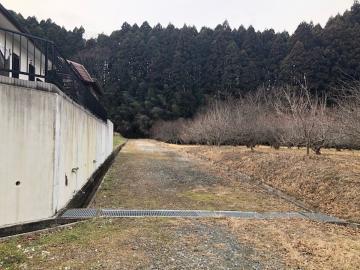 前面道路含む現地写真(2021年1月)